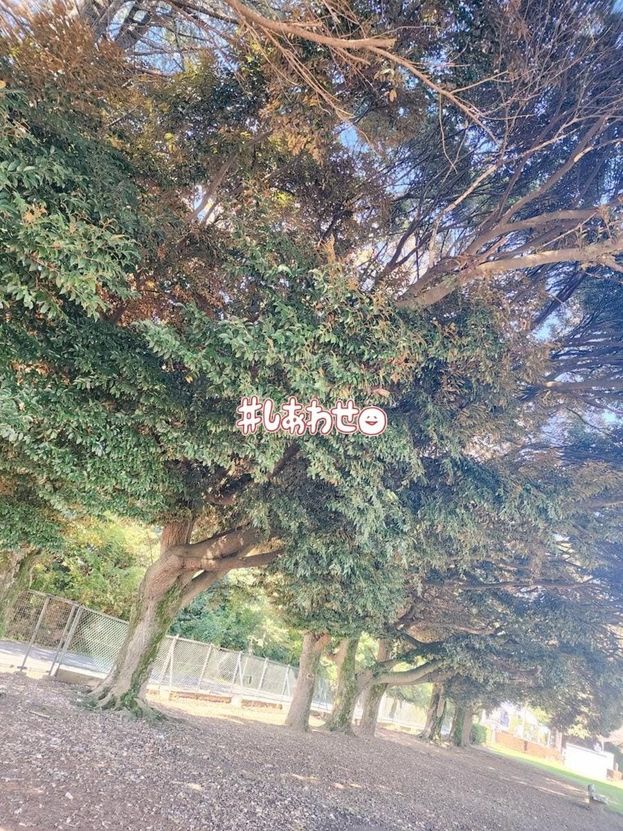 白金あれん / 休日の時間 写メ日記