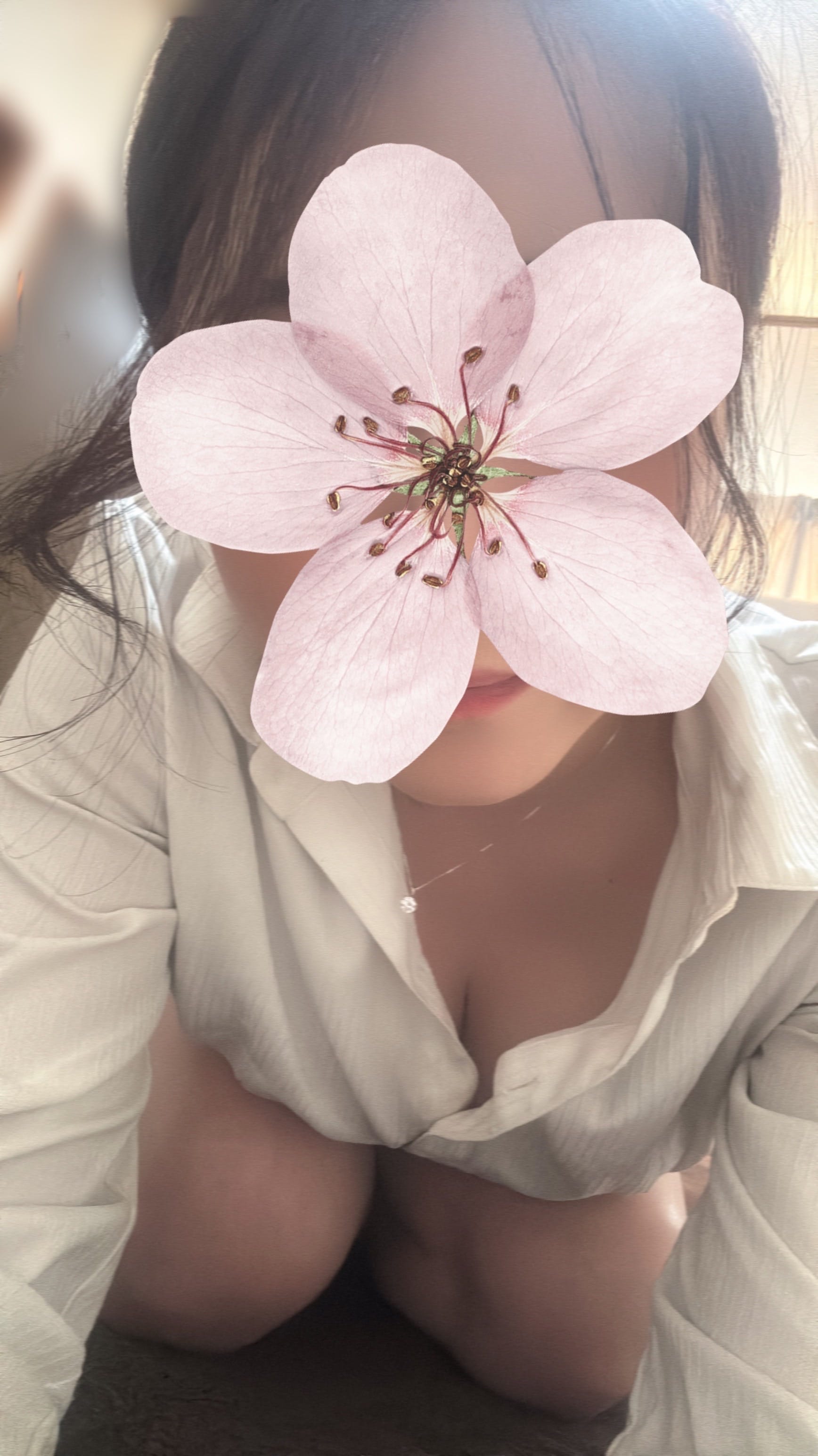 なみ / こんにちは( ᴗˬᴗ) 写メ日記