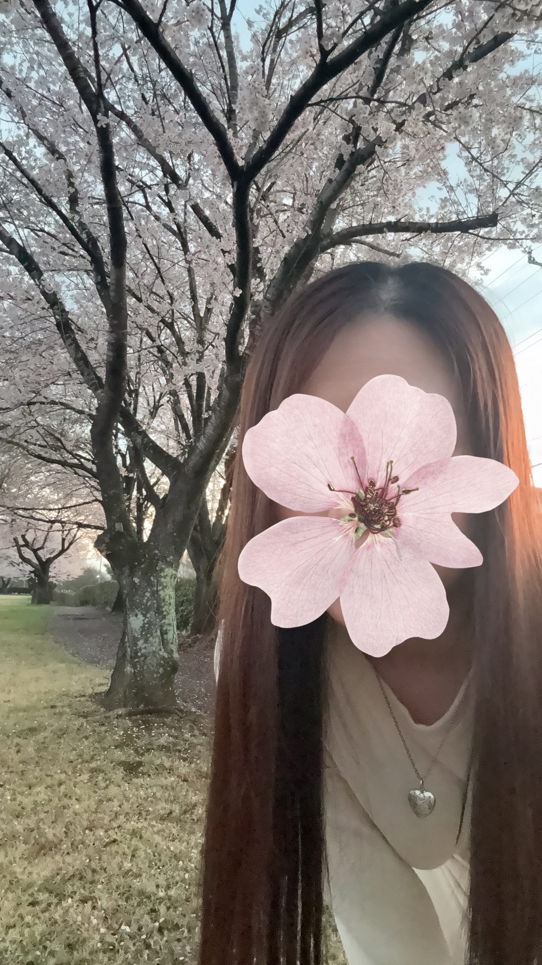 なみ / こんにちは⸜ ✿ ⸝ 写メ日記