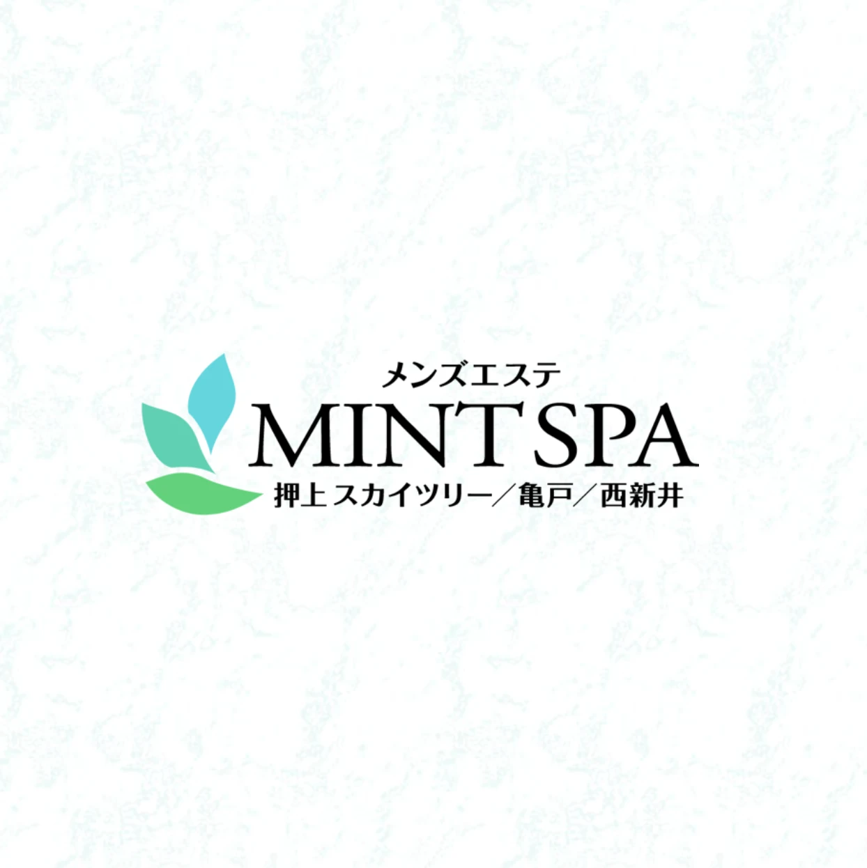 90分コース以上のご利用オプション無料！/MINT SPA