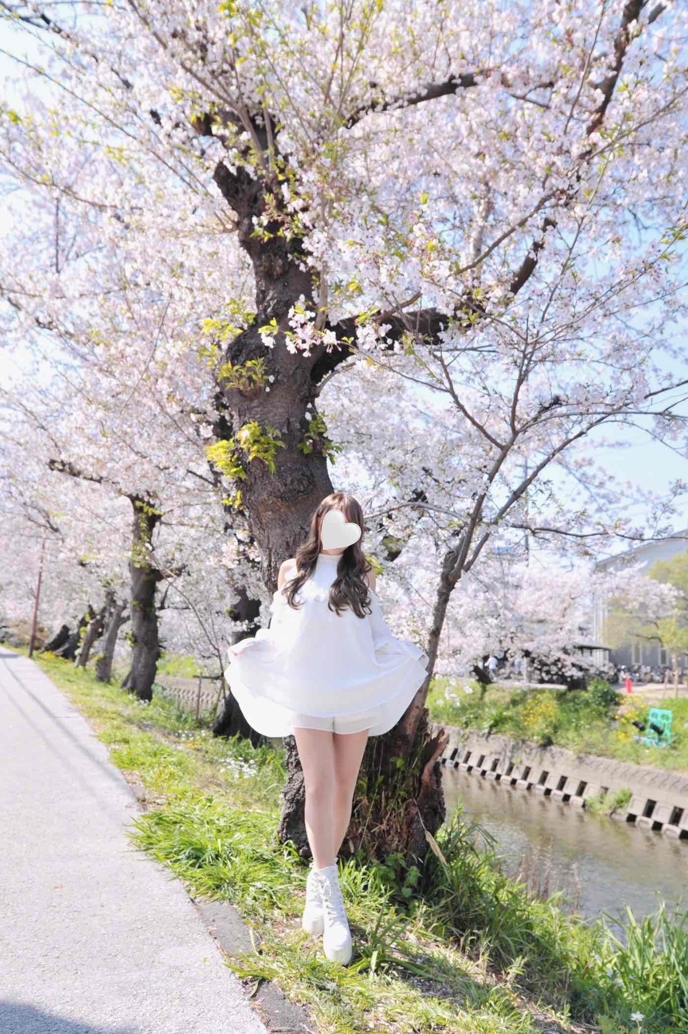 すみれ / あなたがいないと迷ってしまう♡ 写メ日記