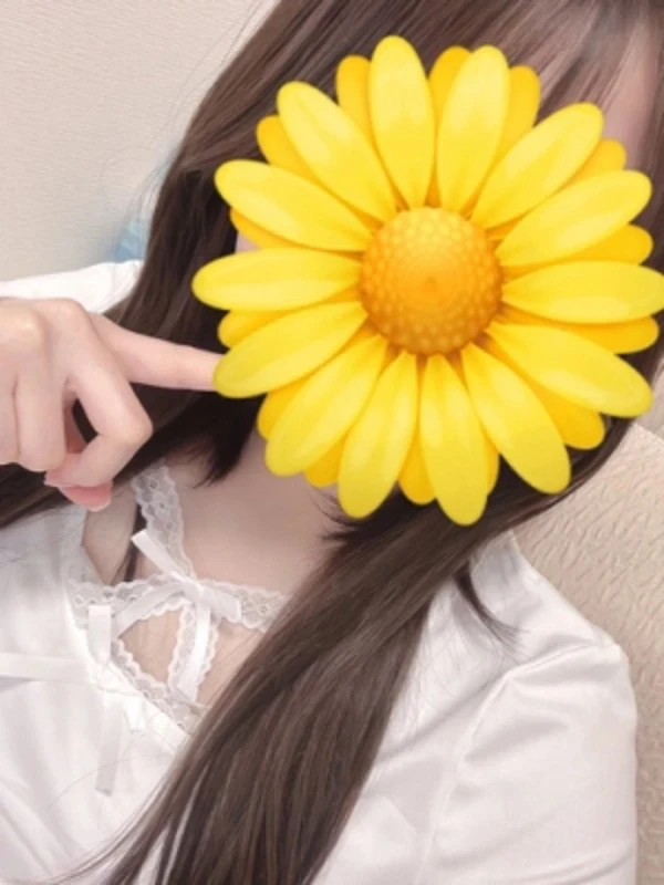 ほまれ 本日出勤