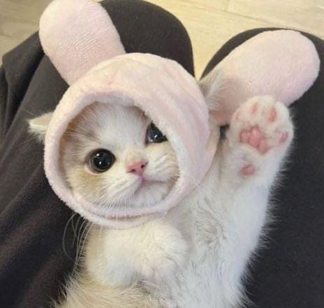 りんな / 初出勤✨✨ 写メ日記